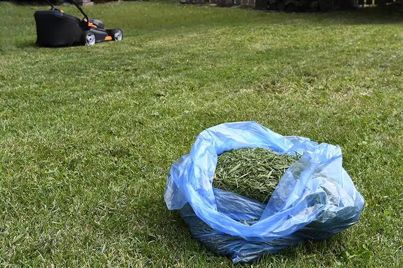 How Long Does Mulch Last on a Lawn Davie, FL