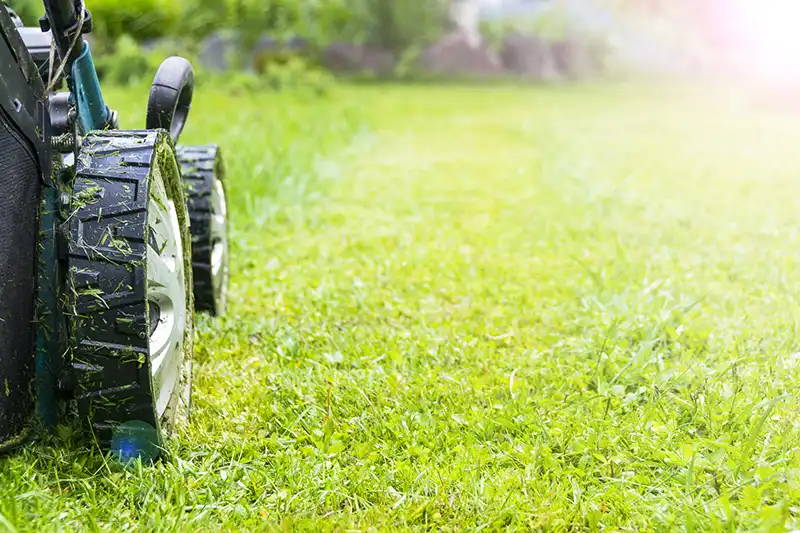 Lawn mowing Davie, FL