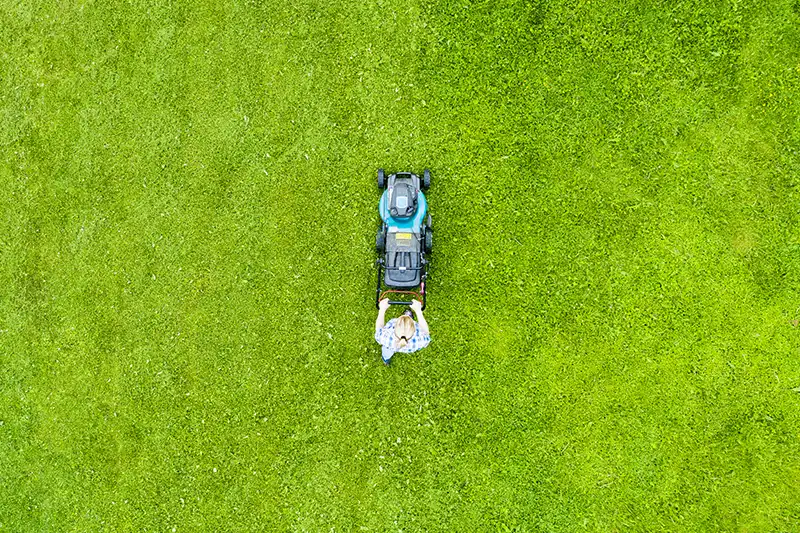 Lawn mowing in Davie, FL