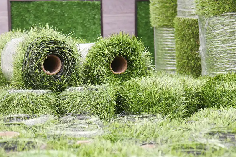 Sod Installation Davie, FL